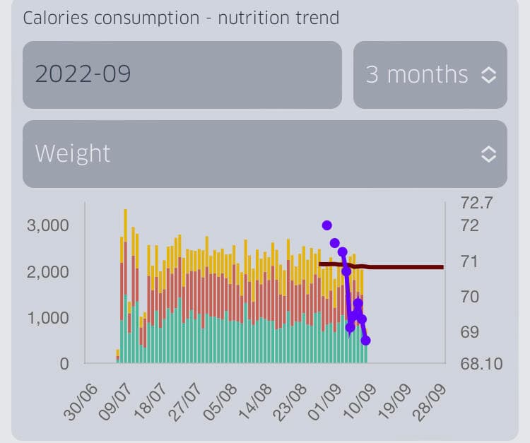 A chart that shows the measurements you recorded (weights here for example), as well as the macros you took every day in the last 3 months (up to a year of record can be shown at once)